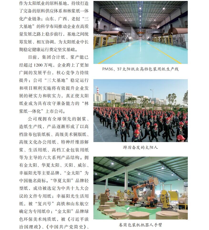山东太阳纸业股份有限公司